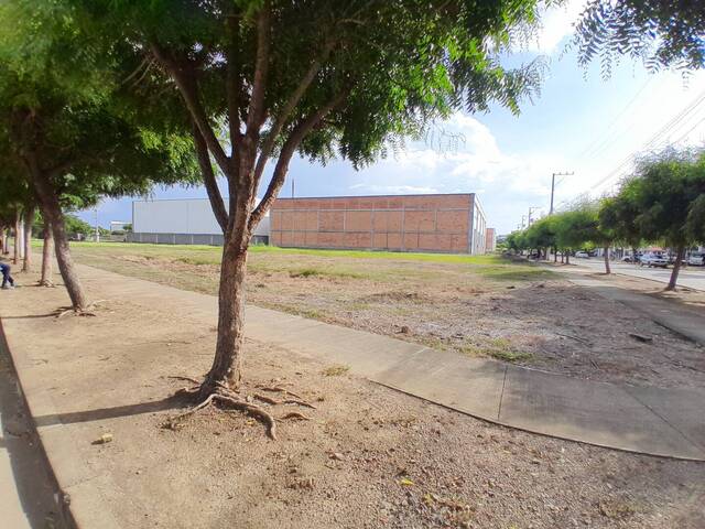 #9227 - Lotes para Venta en Montería - COR - 3