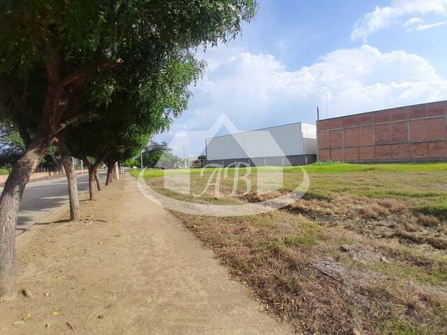 Lotes para Venta en Montería - 5