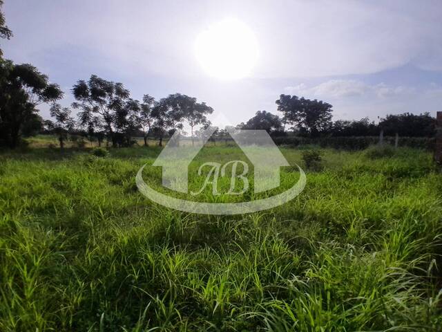 Lotes para Venta en Montería - 4