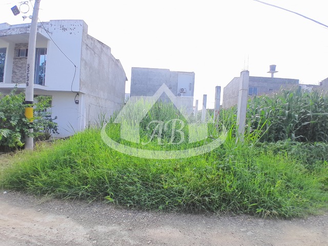 #9263 - Lotes para Venta en Montería - COR - 2