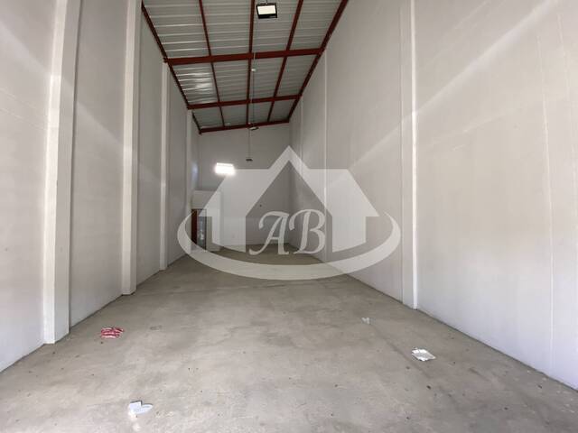 #9194 - Bodegas para Alquiler en Montería - COR - 3