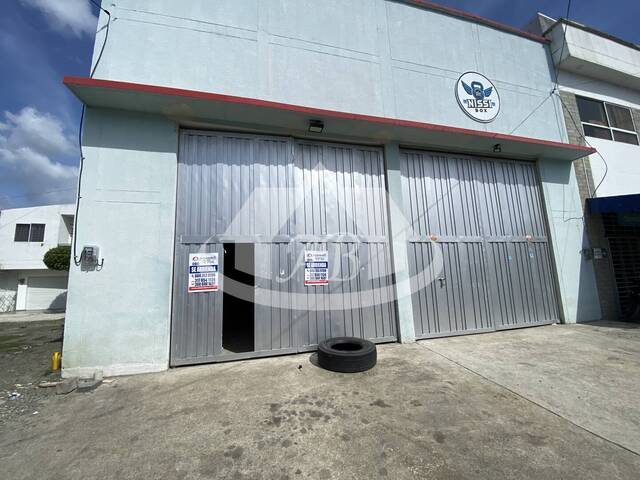 Alquiler en Colon - Montería