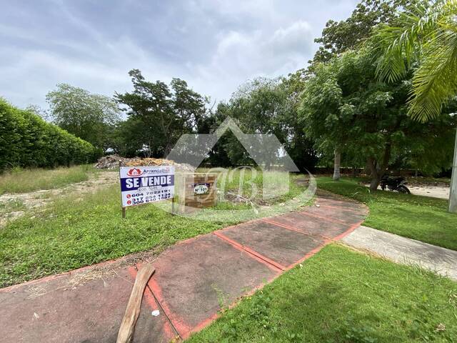 #1699 - Lotes para Venta en Montería - COR - 3