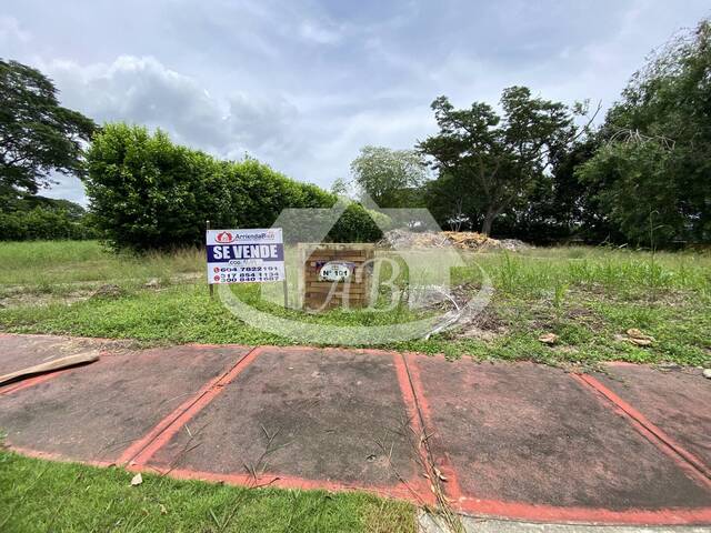 #1699 - Lotes para Venta en Montería - COR - 1