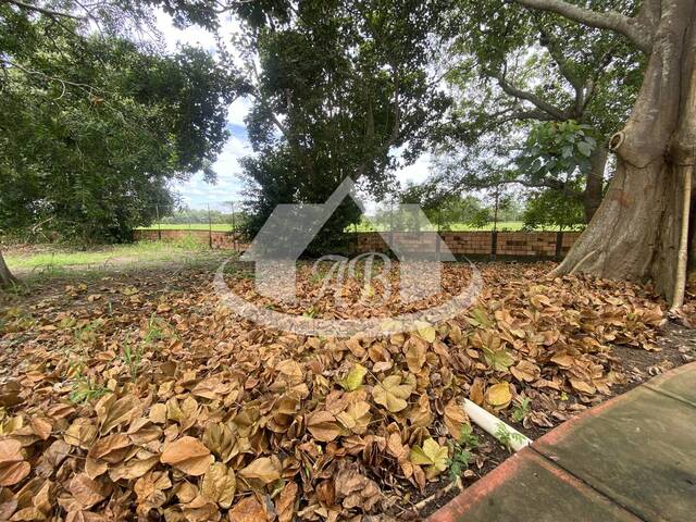Lotes para Venta en Montería - 5