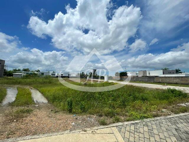 Lotes para Venta en Montería - 4