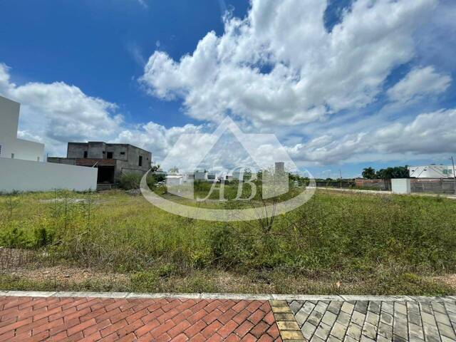 #9344 - Lotes para Venta en Montería - COR - 3