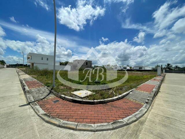 Lotes para Venta en Montería - 5