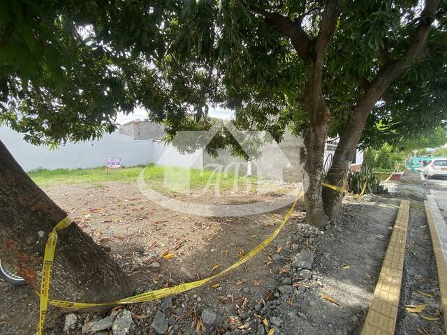 #9377 - Lotes para Alquiler en Montería - COR - 2