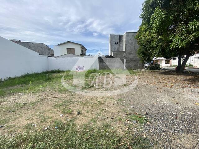Lotes para Alquiler en Montería - 5