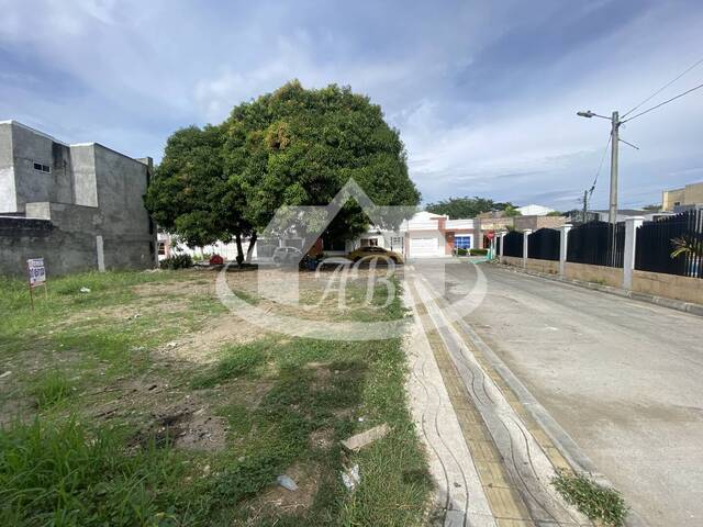 #9377 - Lotes para Alquiler en Montería - COR - 2