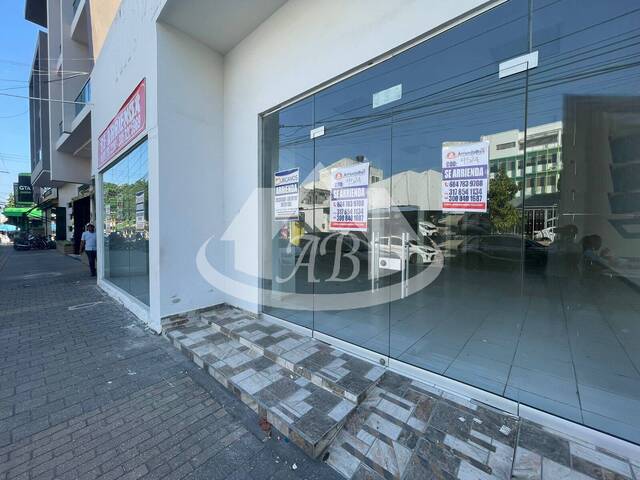 Alquiler en Centro - Montería