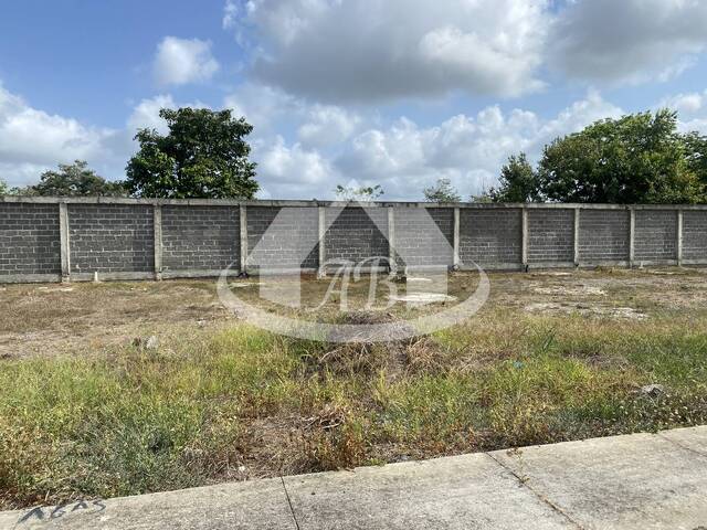 #9541 - Lotes para Venta en Montería - COR