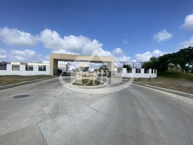#9541 - Lotes para Venta en Montería - COR