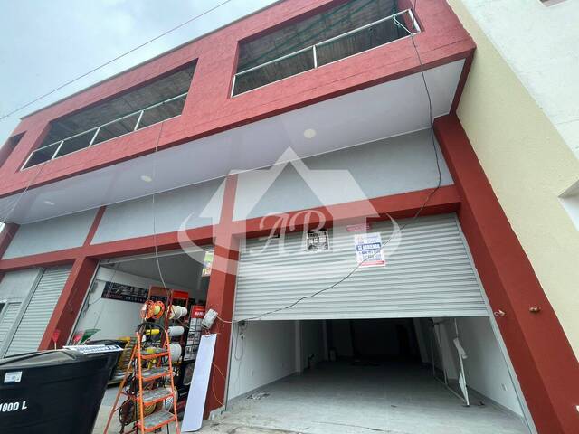 Alquiler en Centro - Montería