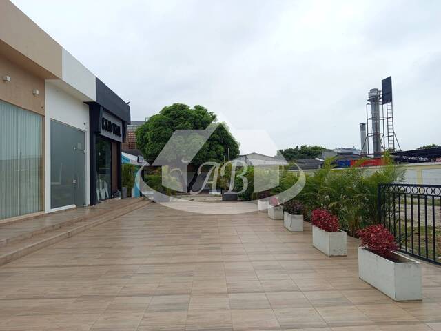 #9542 - Local para Alquiler en Montería - COR - 3