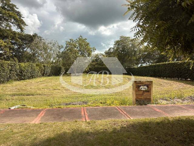 Venta en KM 2.5 Vía Arboletes - Montería