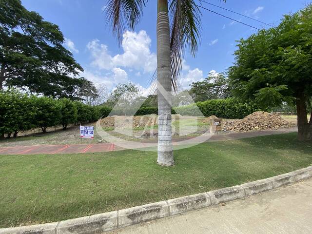 Venta en KM 2.5 Vía Arboletes - Montería