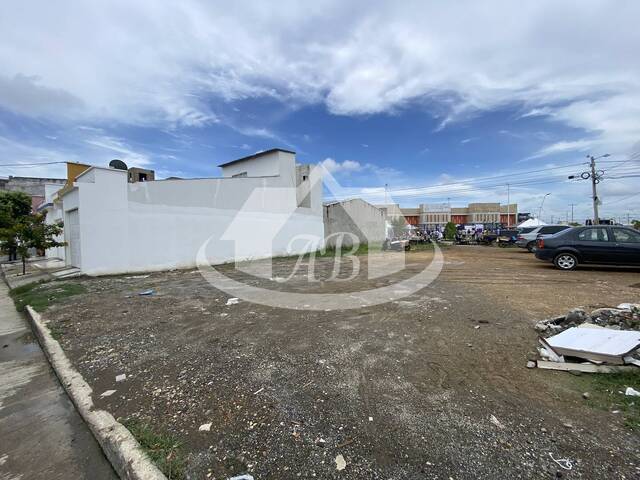 Lotes para Venta en Montería - 4