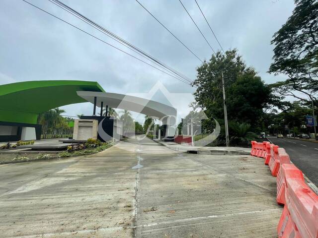 Lotes para Venta en Montería - 1