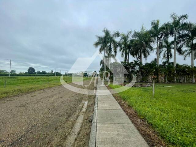 Lotes para Venta en Montería - 2