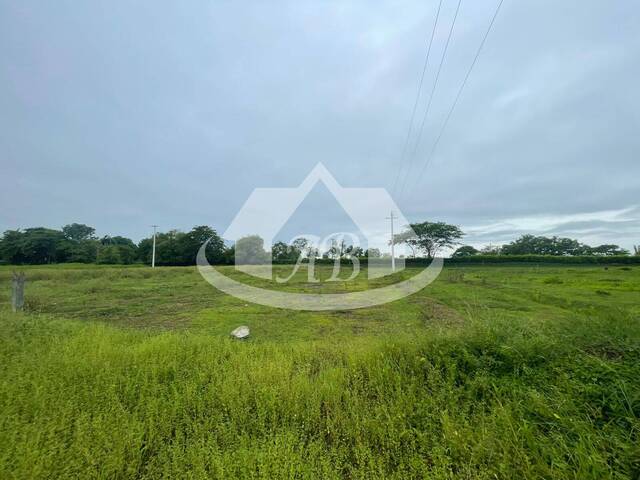 Lotes para Venta en Montería - 3