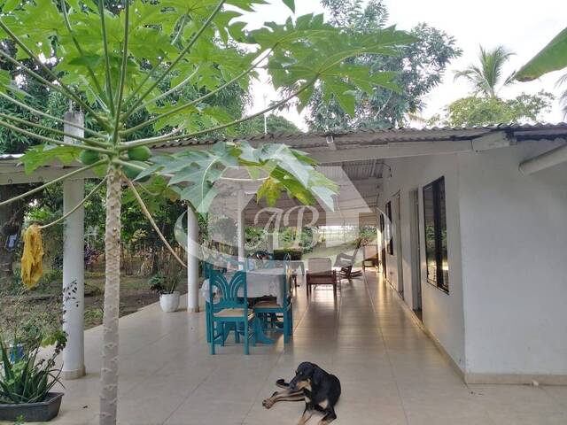 #9693 - Rural para Venta en Montería - COR