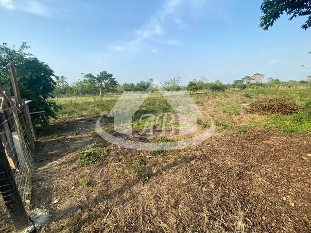 Venta en Via aguas negras - Montería