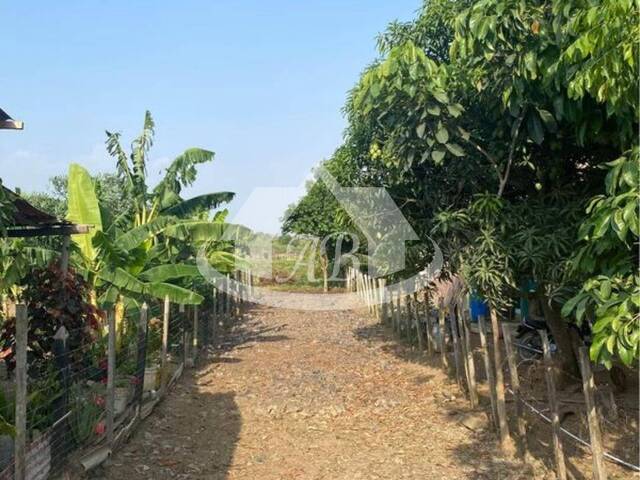 #9711 - Lotes para Venta en Montería - COR - 2